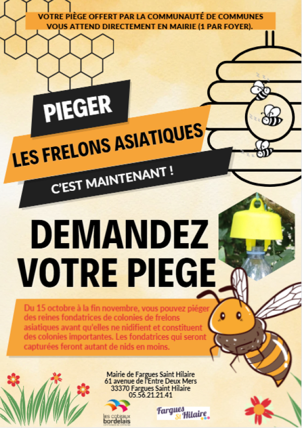 Lutte contre le frelon asiatique